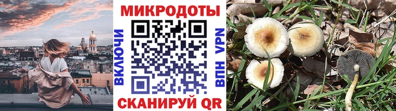 Галлюциногенные грибы Magic Shrooms  наркошоп  Сафоново 