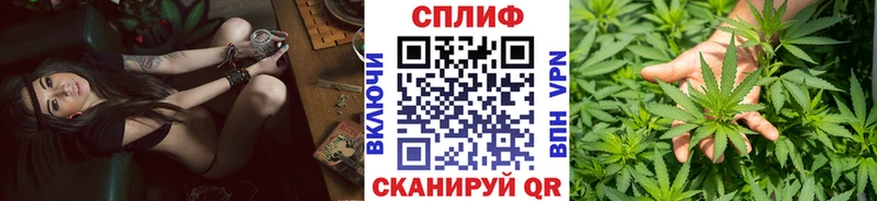 Шишки марихуана OG Kush Сафоново